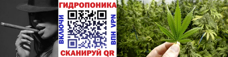 Шишки марихуана планчик  цена   Крым 